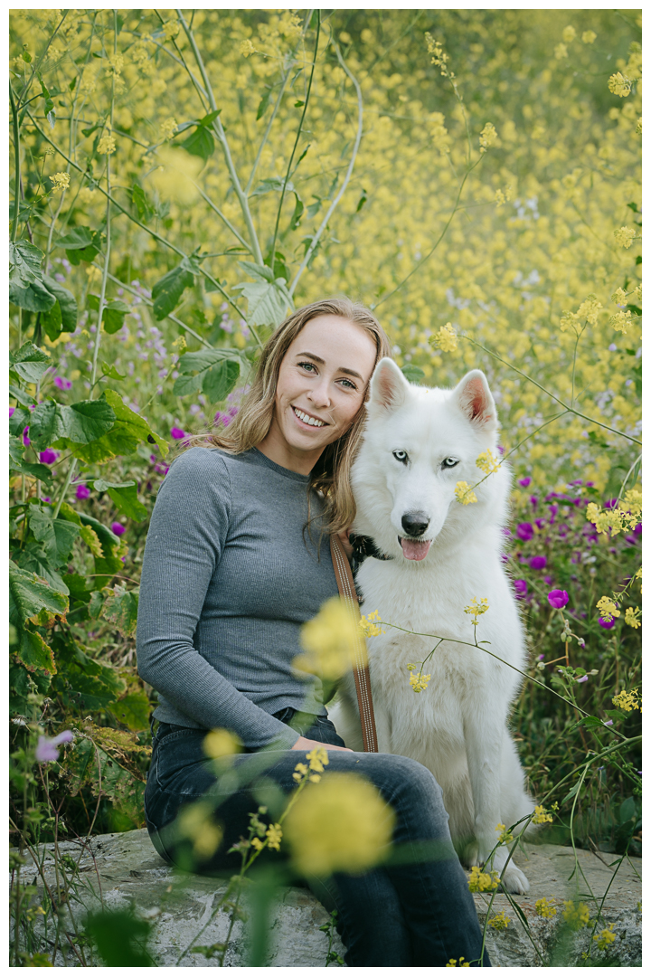 Dography Pet Photography Portrait in Palos Verdes, Los Angeles, California