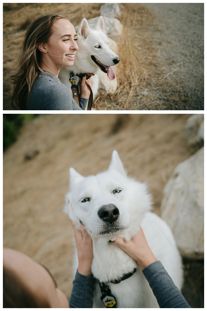 Dography Pet Photography Portrait in Palos Verdes, Los Angeles, California