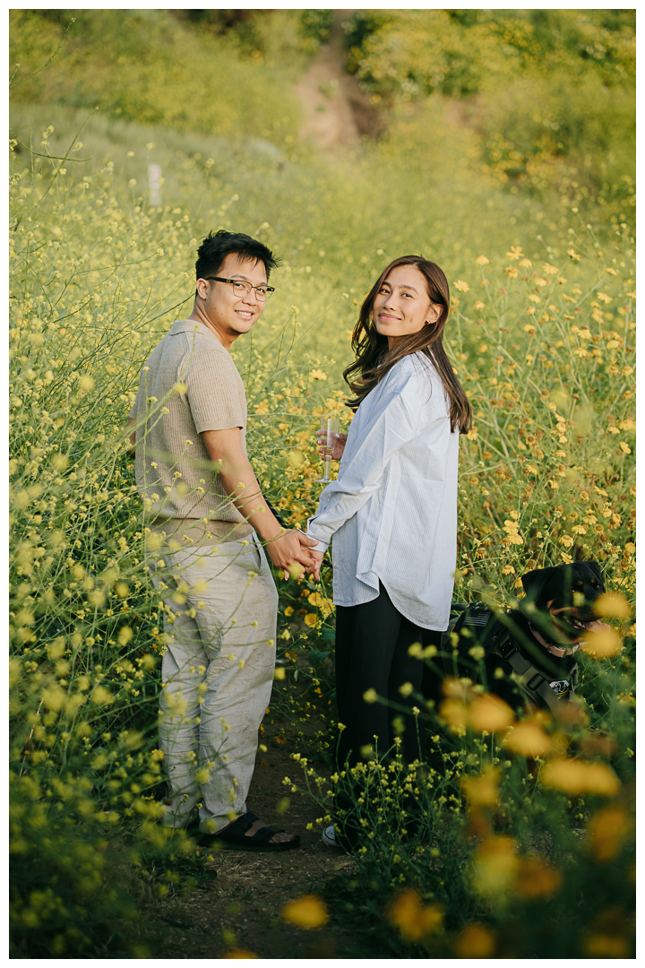 Surprise Marriage Proposal in Palos Verdes, Los Angeles, California 
