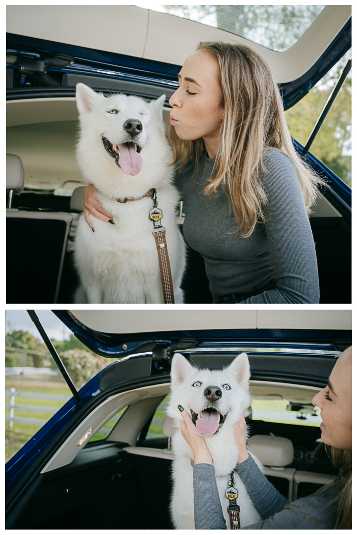 Dography Pet Photography Portrait in Palos Verdes, Los Angeles, California