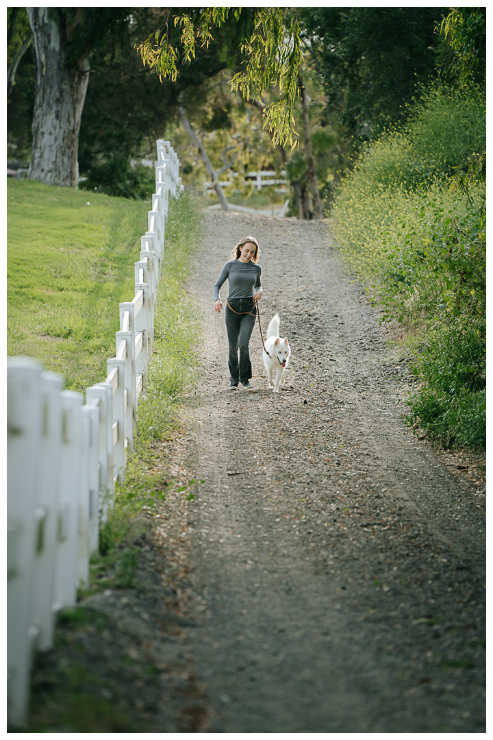 Dography Pet Photography Portrait in Palos Verdes, Los Angeles, California