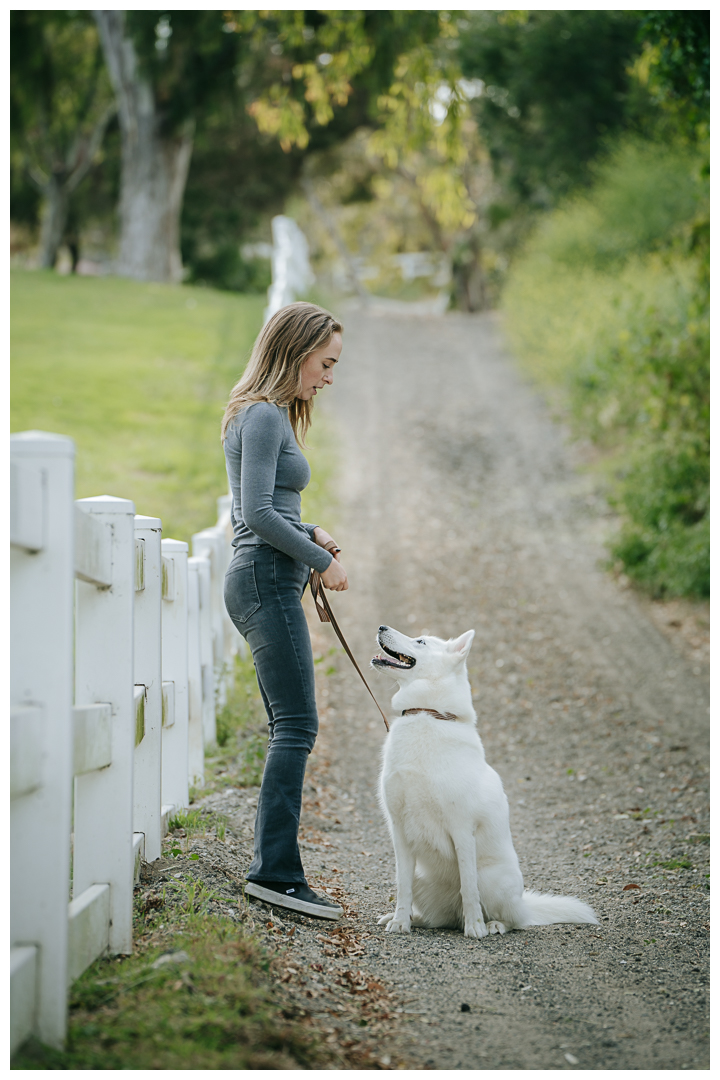 Dography Pet Photography Portrait in Palos Verdes, Los Angeles, California