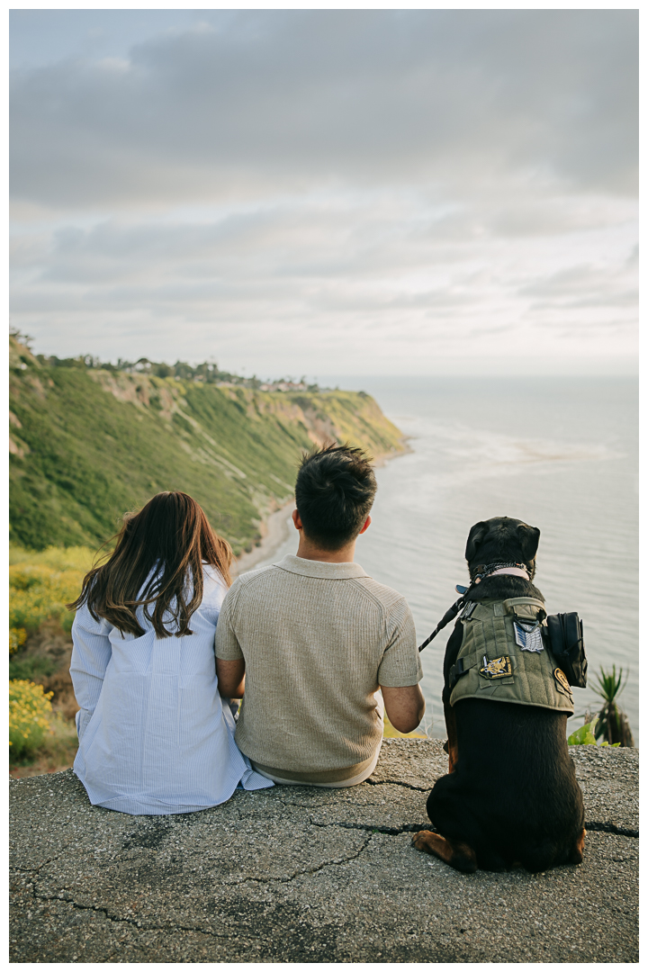 Surprise Marriage Proposal in Palos Verdes, Los Angeles, California 