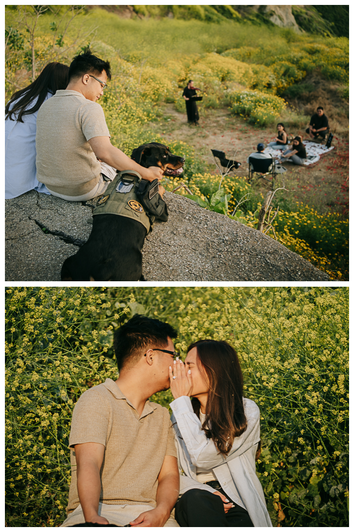 Surprise Marriage Proposal in Palos Verdes, Los Angeles, California 