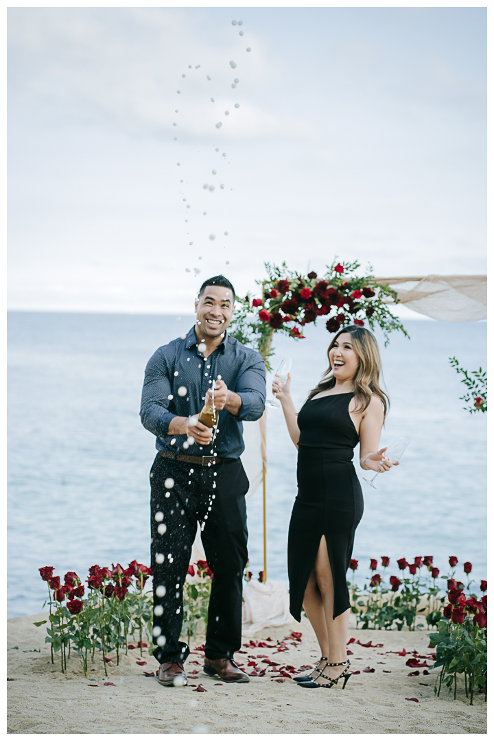 Surprise Proposal and Mini Engagement session at Terranea Resort and Beach in Palos Verdes, Los Angeles, California