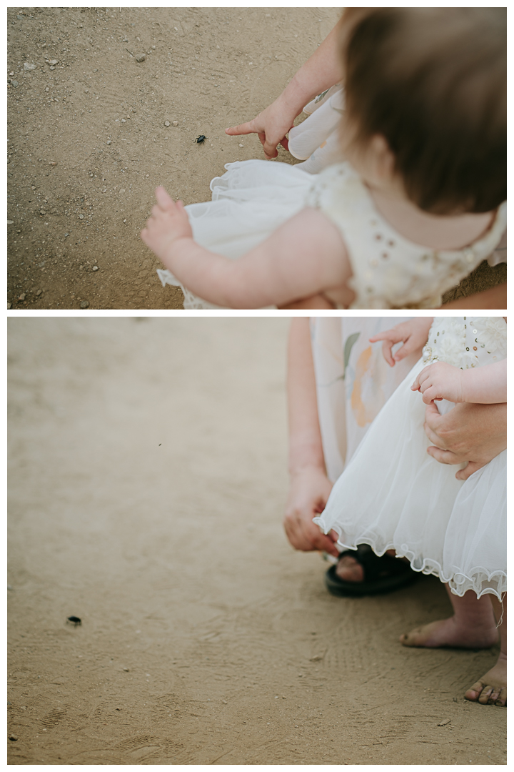 Multigenerational Family Photos at Point Dume in Malibu, Los Angeles, California