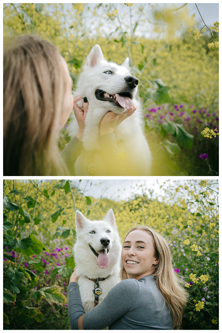 Dography Pet Photography Portrait in Palos Verdes, Los Angeles, California