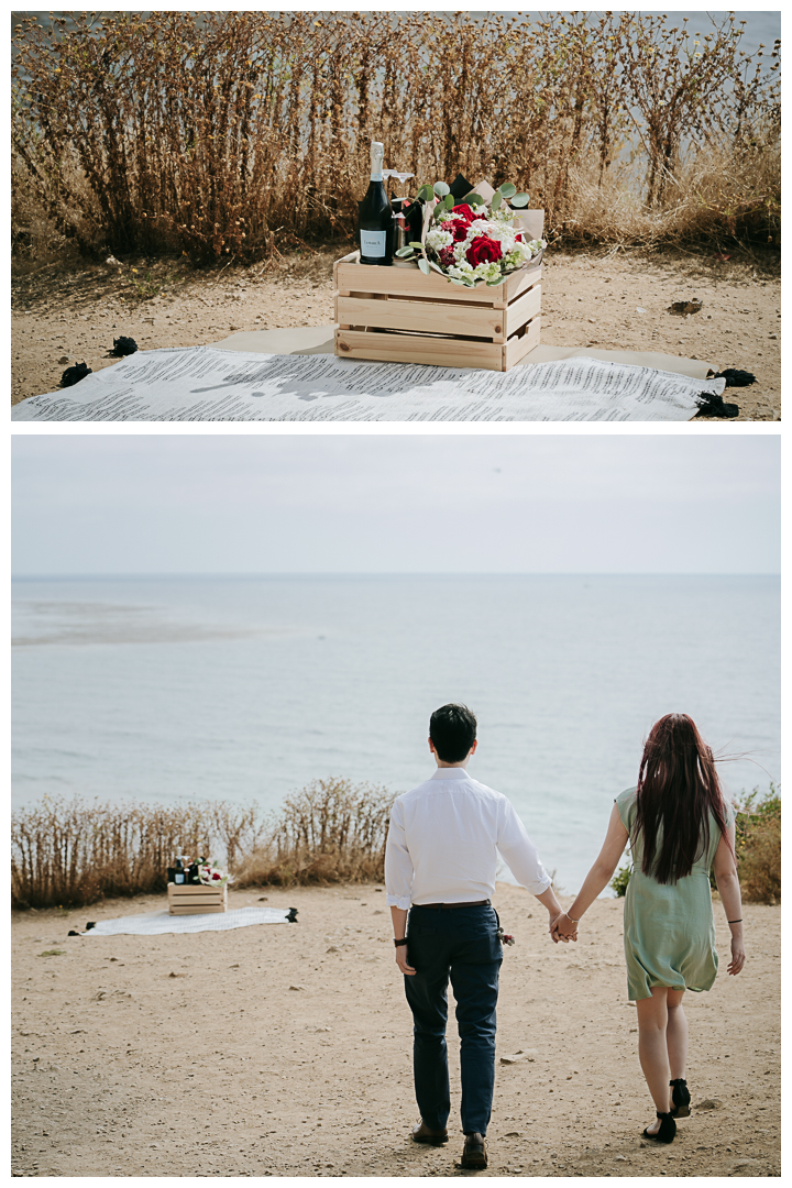 Surprise Proposal at Bluff Cove, Palos Verdes, Los Angeles, California