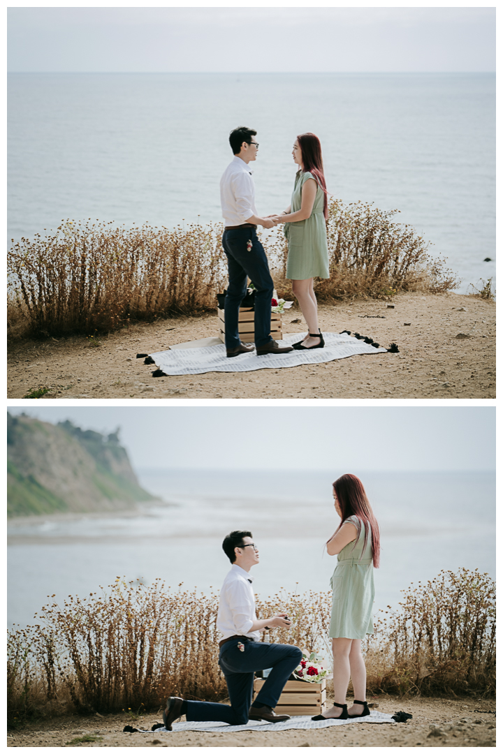 Surprise Proposal at Bluff Cove, Palos Verdes, Los Angeles, California