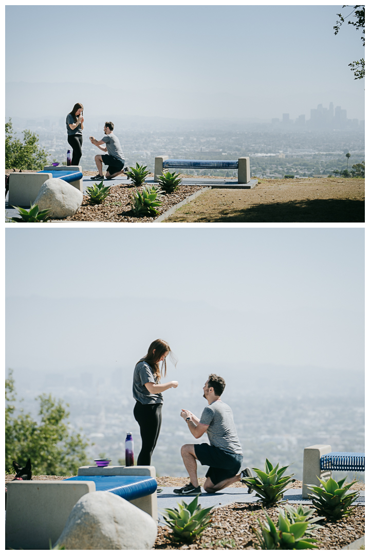 Surprise Proposal at Kenneth Hahn Park, Los Angeles, California