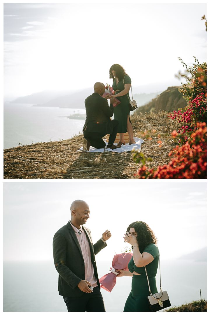 Surprise Proposal and Mini Engagement at Pacific Palisades, Los Angeles, California