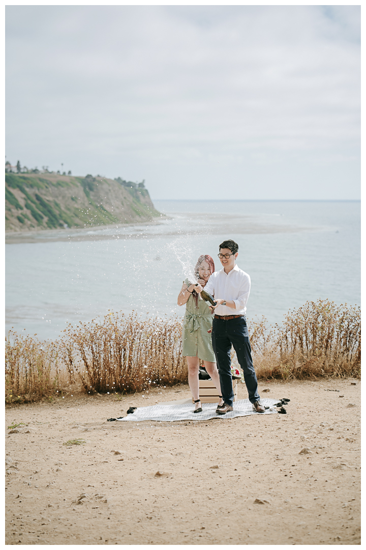 Surprise Proposal at Bluff Cove, Palos Verdes, Los Angeles, California