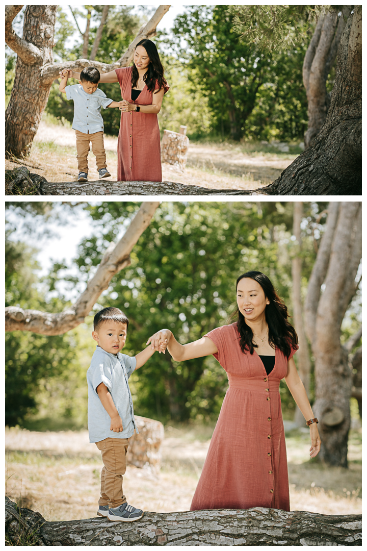 Family Photos at Hopkins Wilderness Park in Redondo Beach, Los Angeles, California