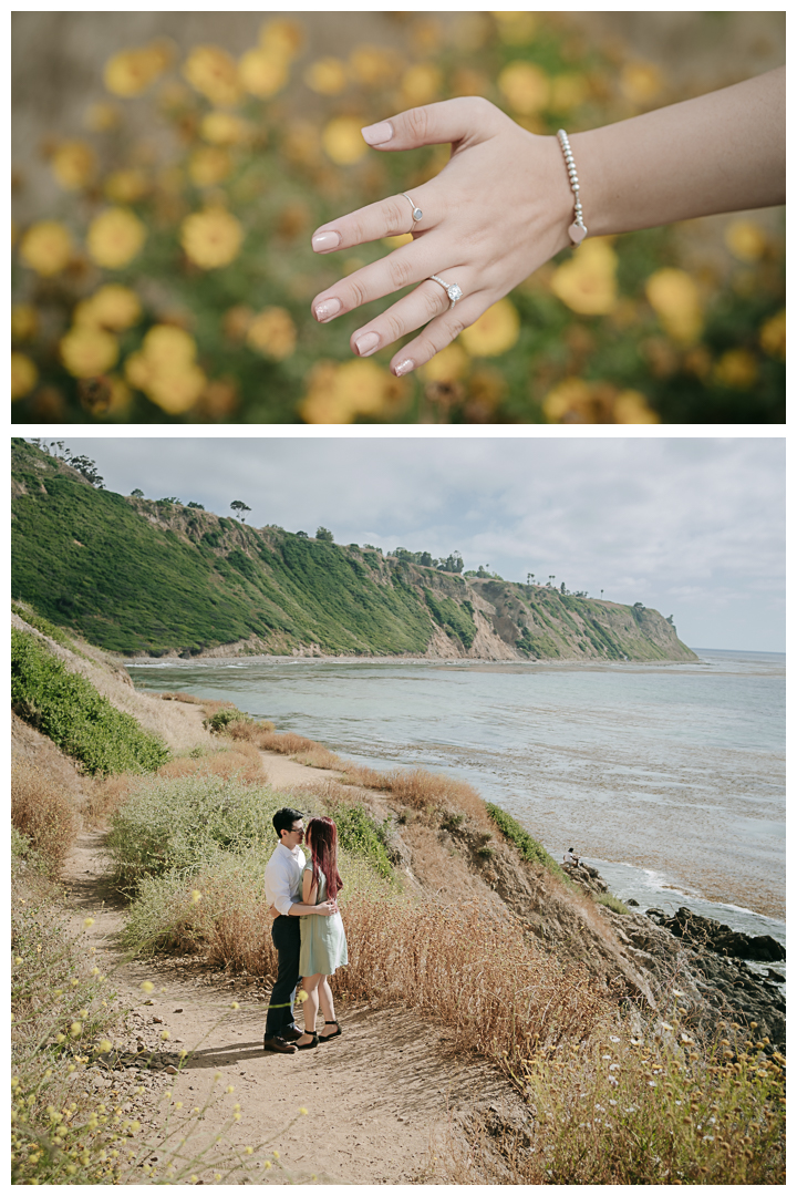 Surprise Proposal at Bluff Cove, Palos Verdes, Los Angeles, California