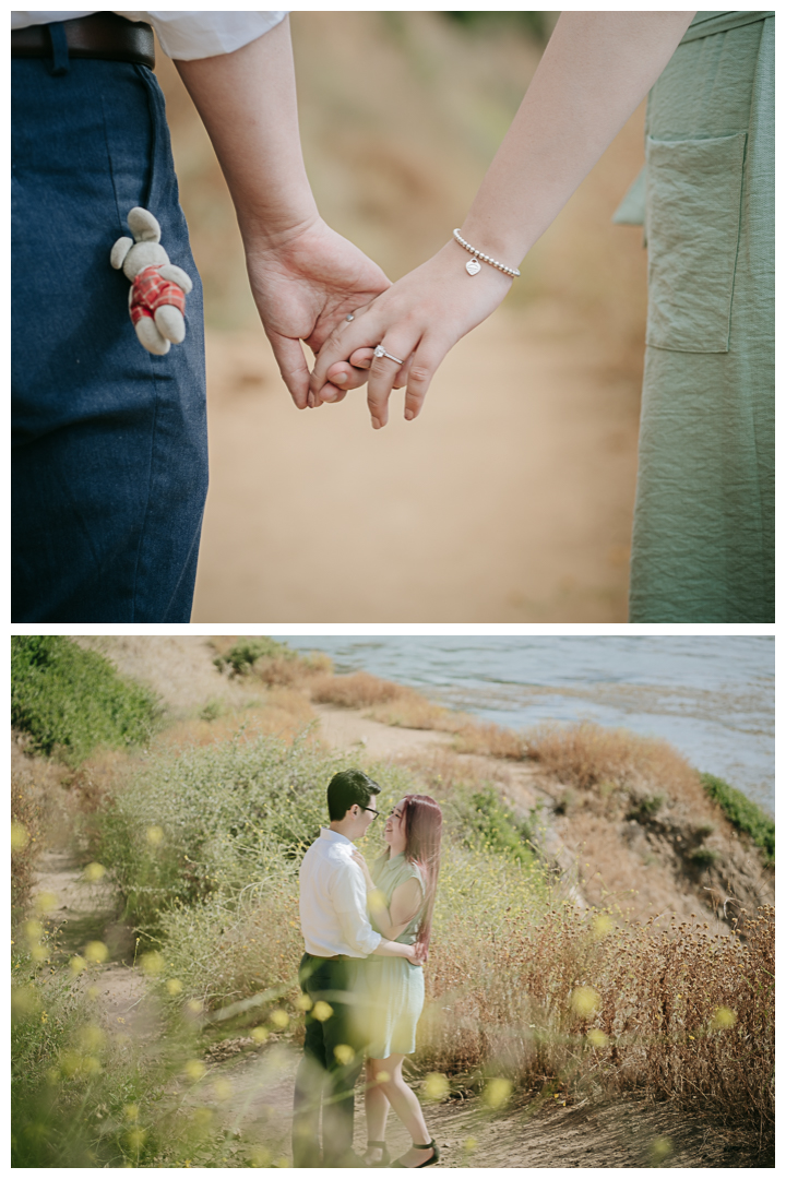 Surprise Proposal at Bluff Cove, Palos Verdes, Los Angeles, California