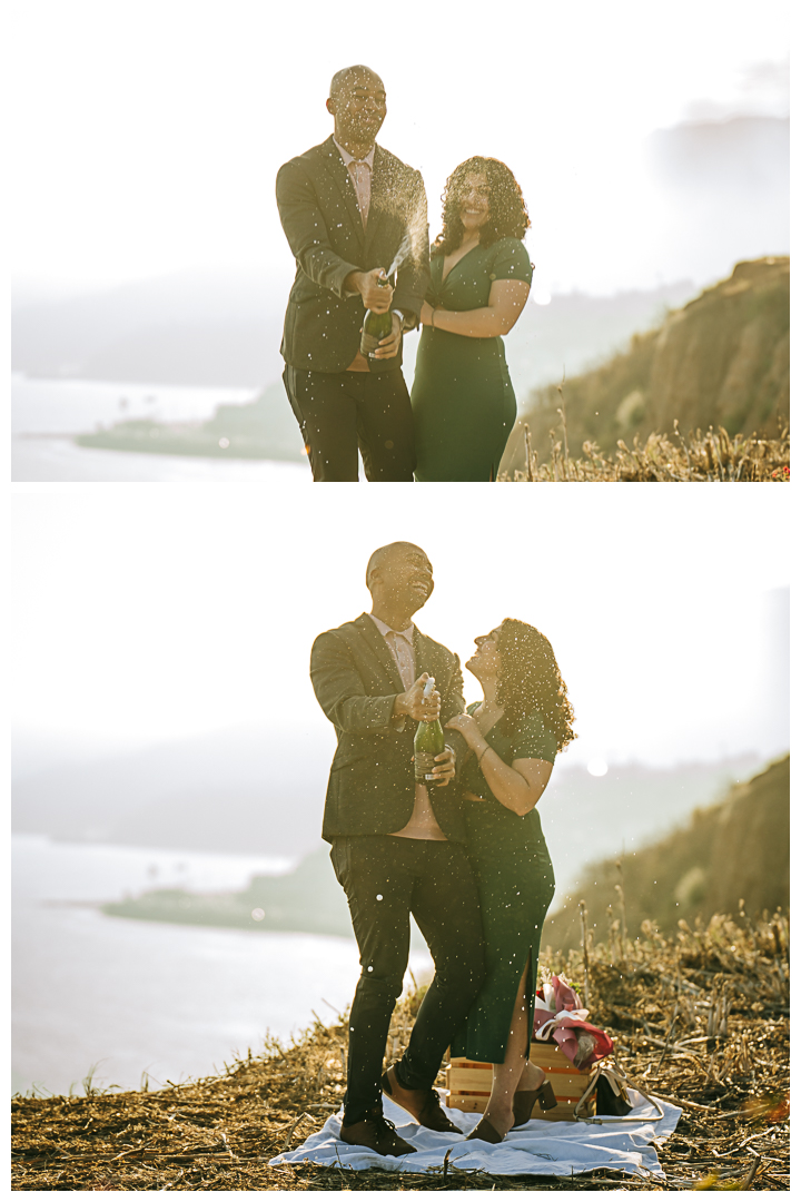 Surprise Proposal and Mini Engagement at Pacific Palisades, Los Angeles, California