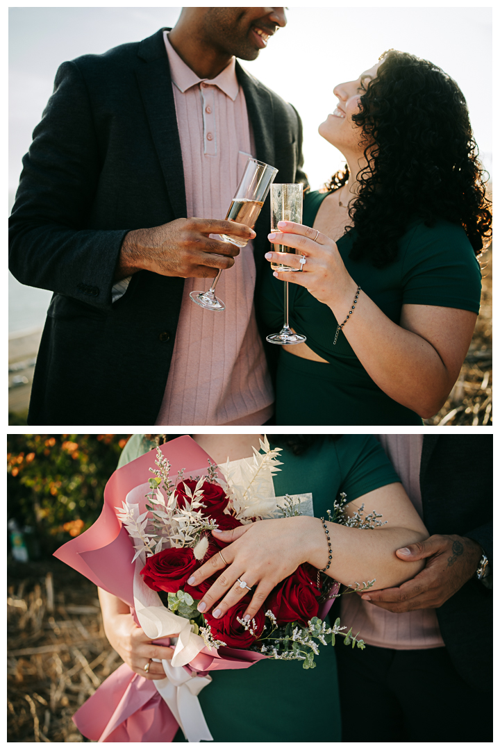 Surprise Proposal and Mini Engagement at Pacific Palisades, Los Angeles, California