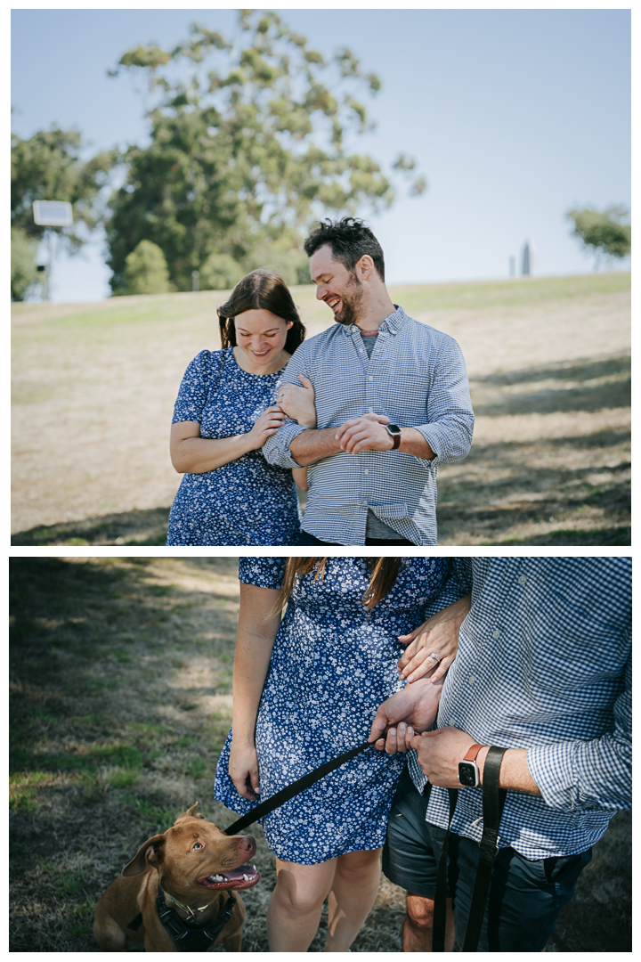 Surprise Proposal at Kenneth Hahn Park, Los Angeles, California