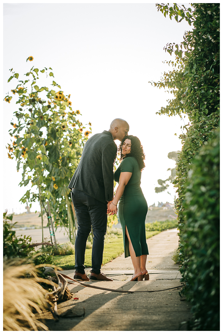 Surprise Proposal and Mini Engagement at Pacific Palisades, Los Angeles, California