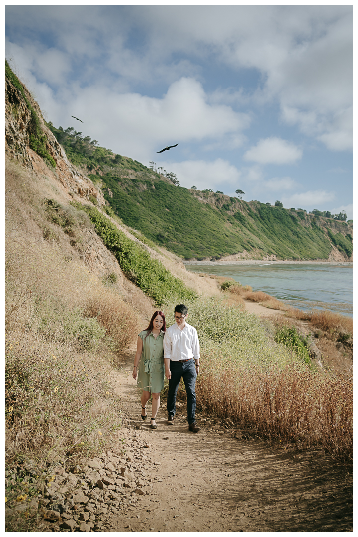 Surprise Proposal at Bluff Cove, Palos Verdes, Los Angeles, California