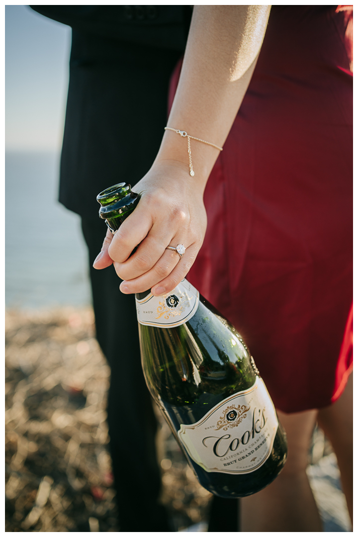 Surprise Proposal at The Point at the Bluff, Pacific Palisades, Los Angeles