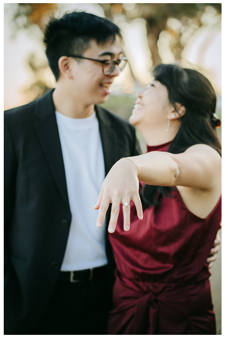 Surprise Proposal at The Point at the Bluff, Pacific Palisades, Los Angeles