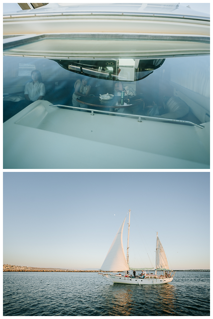 Surprise Proposal at Marina Del Rey, Los Angeles, California