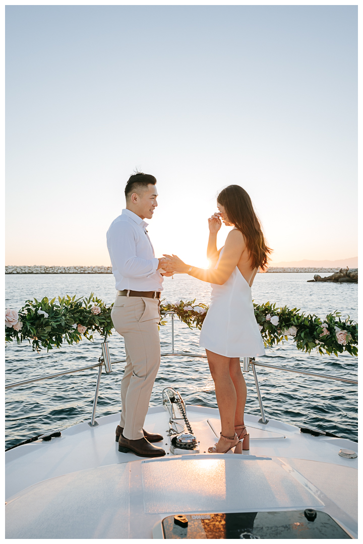 Surprise Proposal at Marina Del Rey, Los Angeles, California