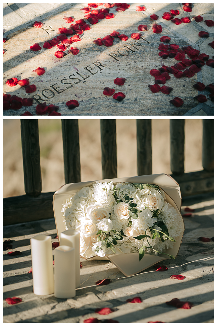 Surprise Proposal at RAT Beach, Palos Verdes, Los Angeles, California