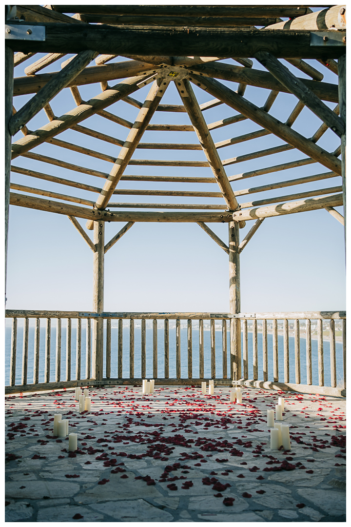 Surprise Proposal at RAT Beach, Palos Verdes, Los Angeles, California