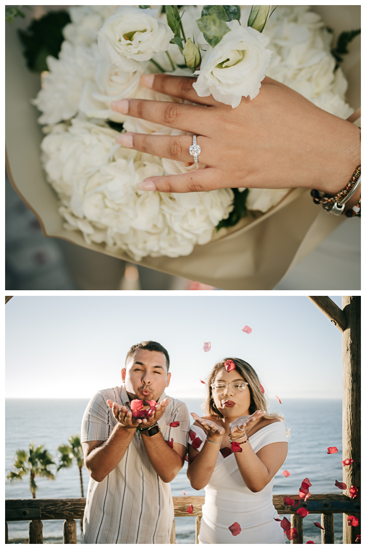 Surprise Proposal at RAT Beach, Palos Verdes, Los Angeles, California