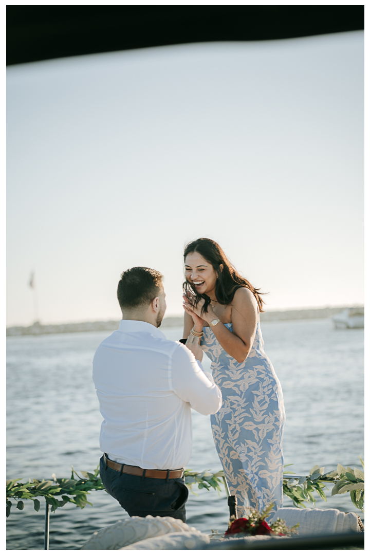 Surprise Proposal at Marina Del Rey, Los Angeles, California