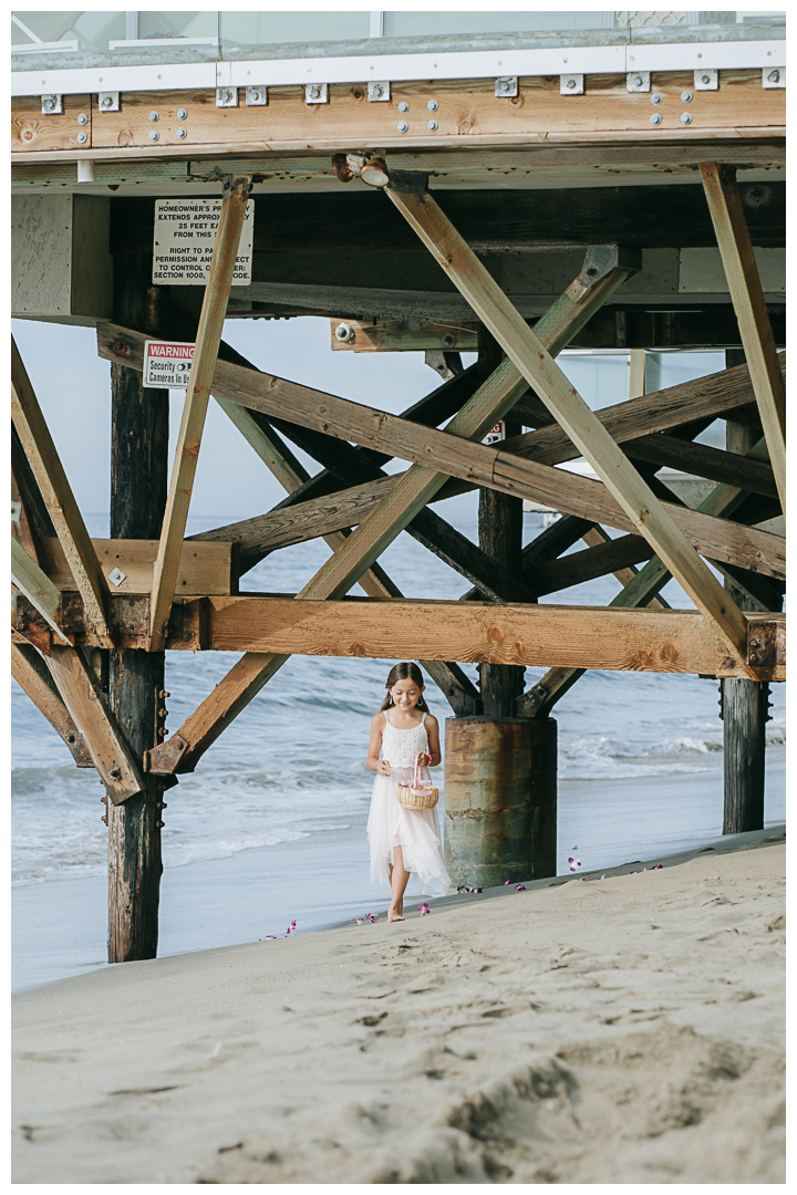 Wedding Celebration in Malibu, Los Angeles, California