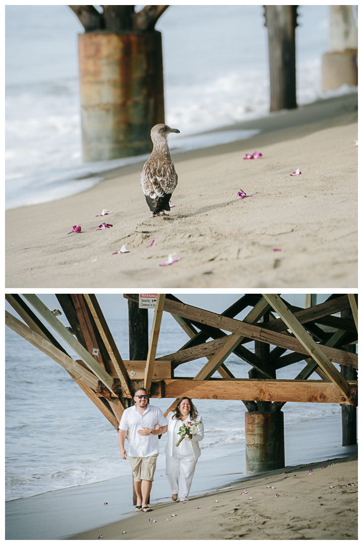 Wedding Celebration in Malibu, Los Angeles, California