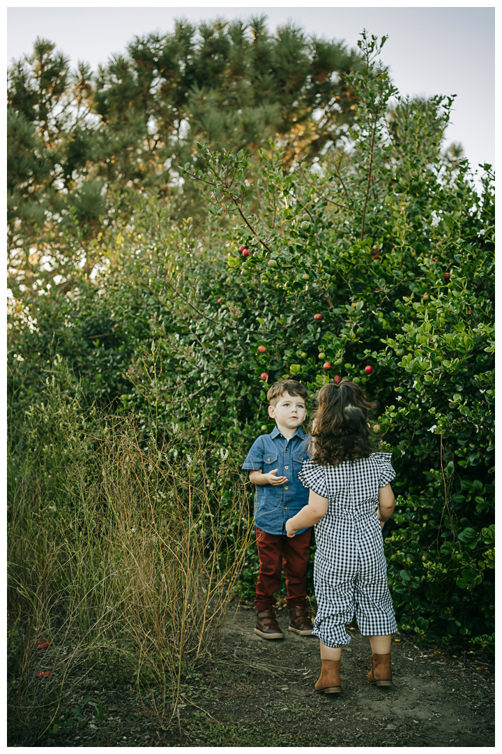 Family Photos with Toddlers at Roessler Point in Palos Verdes