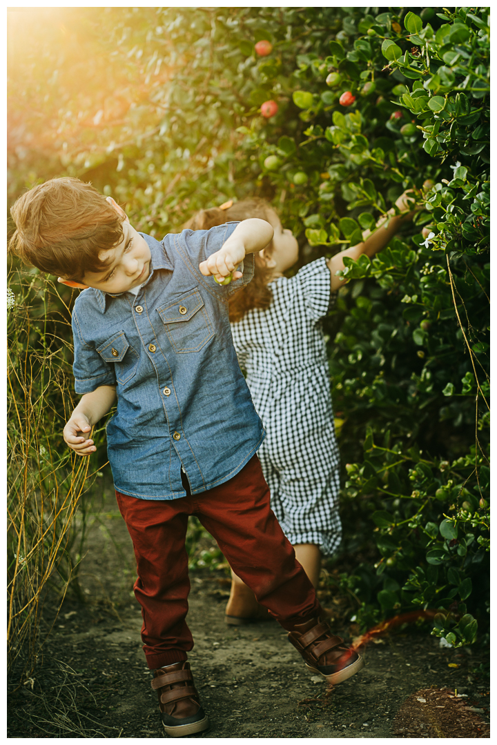 Family Photos with Toddlers at Roessler Point in Palos Verdes