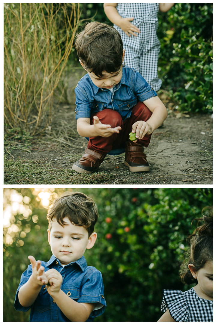 Family Photos with Toddlers at Roessler Point in Palos Verdes