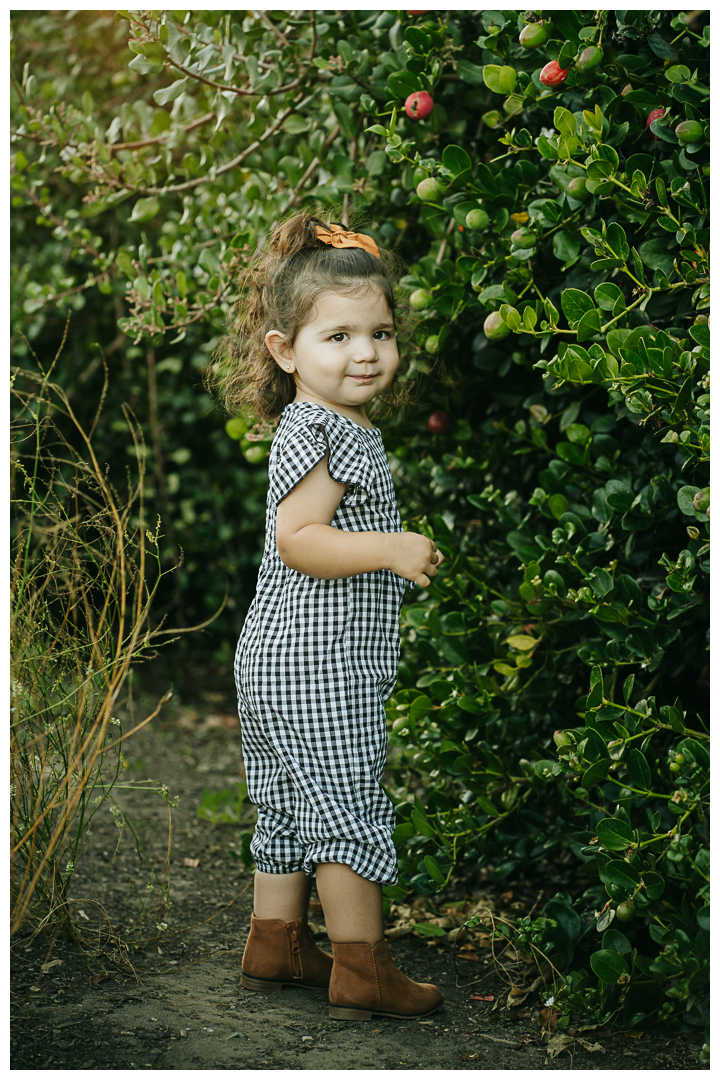 Family Photos with Toddlers at Roessler Point in Palos Verdes