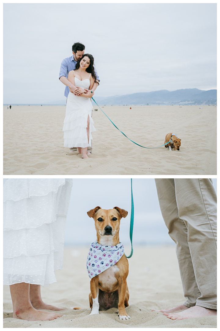 Engagement Portrait session at Tongva Park and Santa Monica Beach