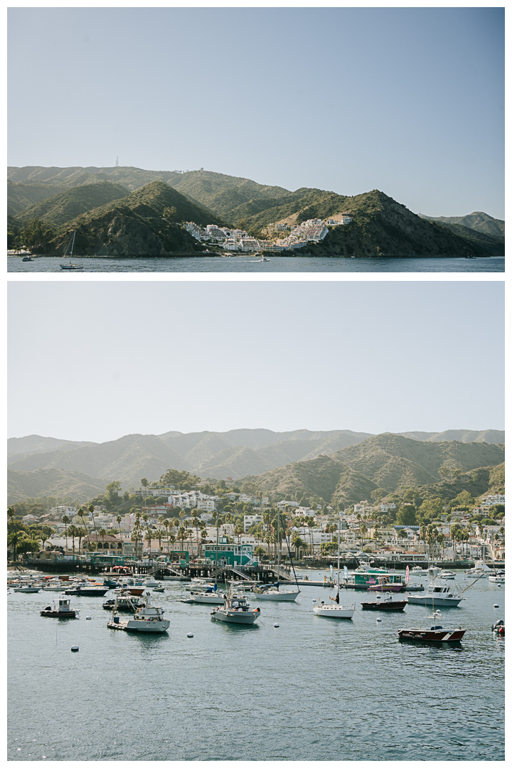 Surprise Proposal at Avalon Catalina Island, California