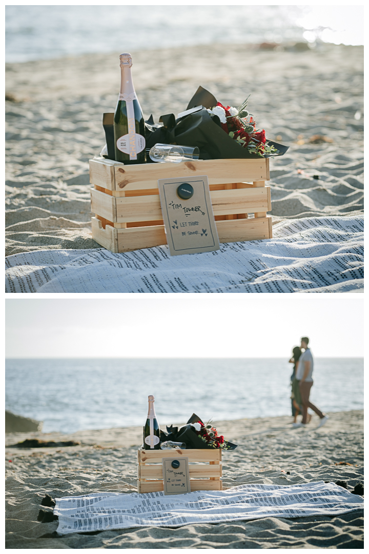 Surprise Proposal at Point Dume Beach in Malibu, Los Angeles, California