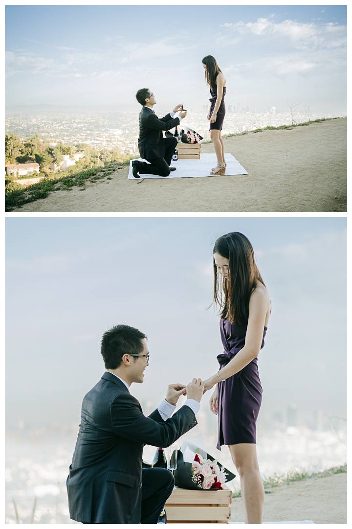 Surprise Proposal at Griffith Observatory in Los Angeles, California