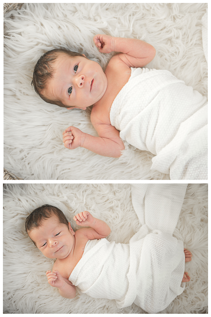 Newborn Portraits at home in Manhattan Beach, California