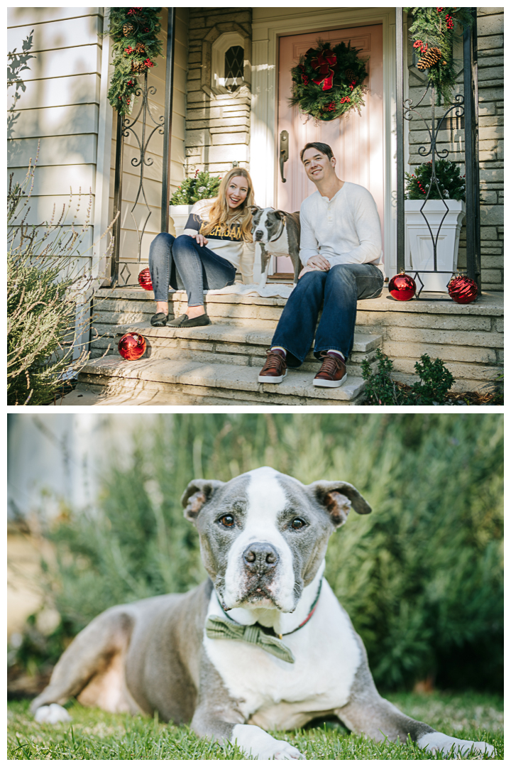 Family Photos with Pet at home | The Harvilla Family