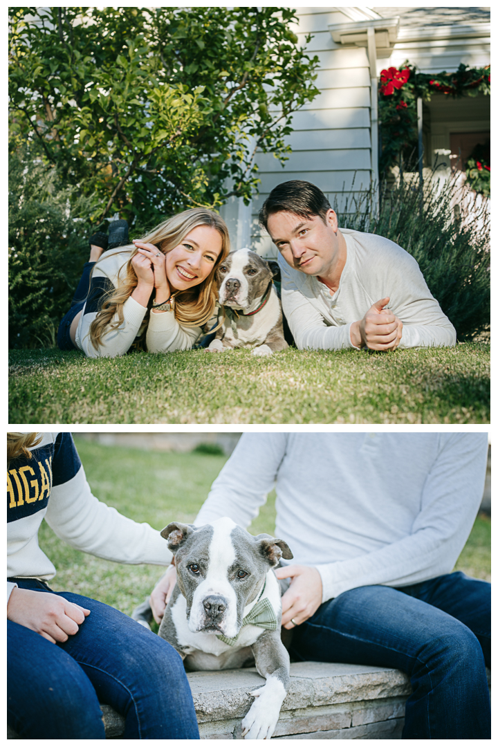 Family Photos with Pet at home | The Harvilla Family