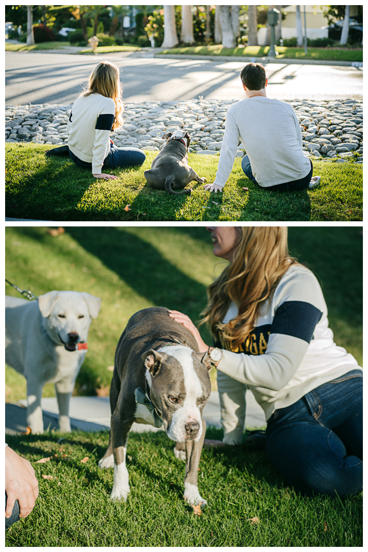 Family Photos with Pet at home | The Harvilla Family