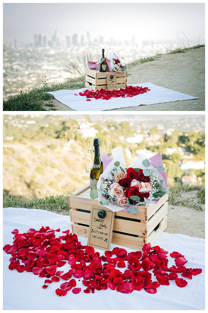 Surprise Proposal at Griffith Observatory in Los Angeles, California