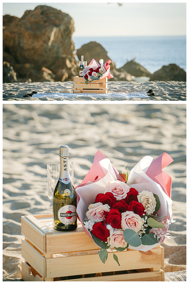 Surprise Proposal at Point Dume | Natalie & Daryl