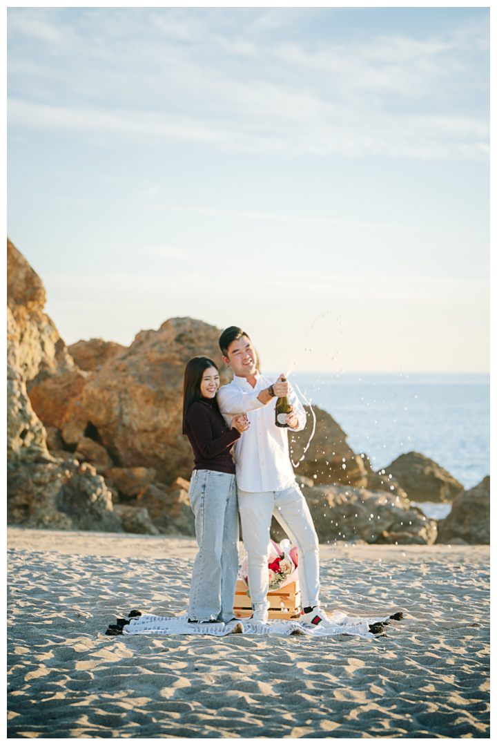 Surprise Proposal at Point Dume | Natalie & Daryl