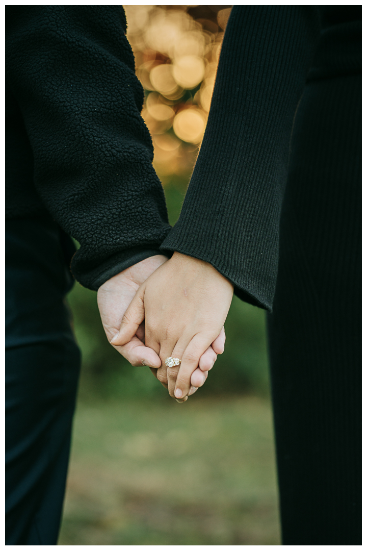 Surprise Proposal at Vista Hermosa Park | Zehra & Zhan